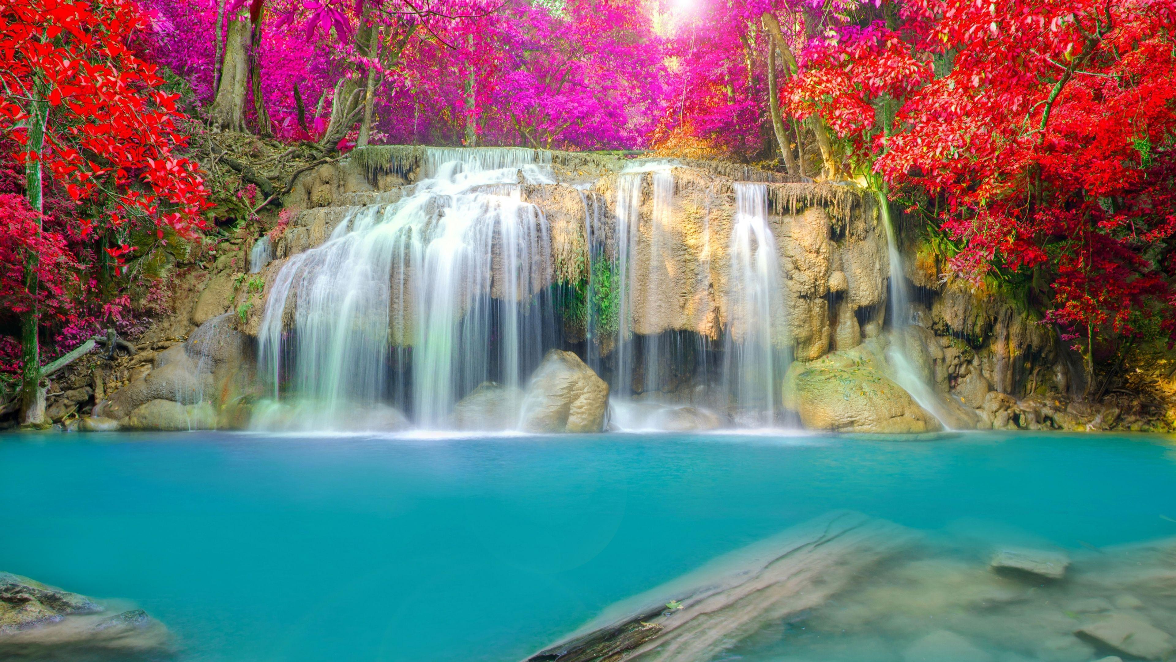Waterfall Flowers Wallpapers Top Free Waterfall Flowers Backgrounds