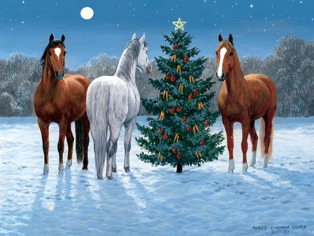Christmas Horses Wallpapers Top Free Christmas Horses Backgrounds
