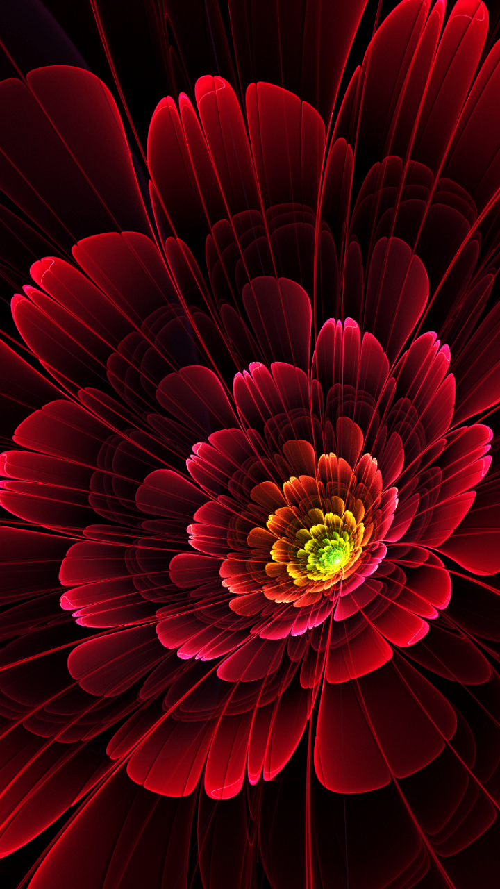 Flower Mobile Wallpapers Top Free Flower Mobile Backgrounds