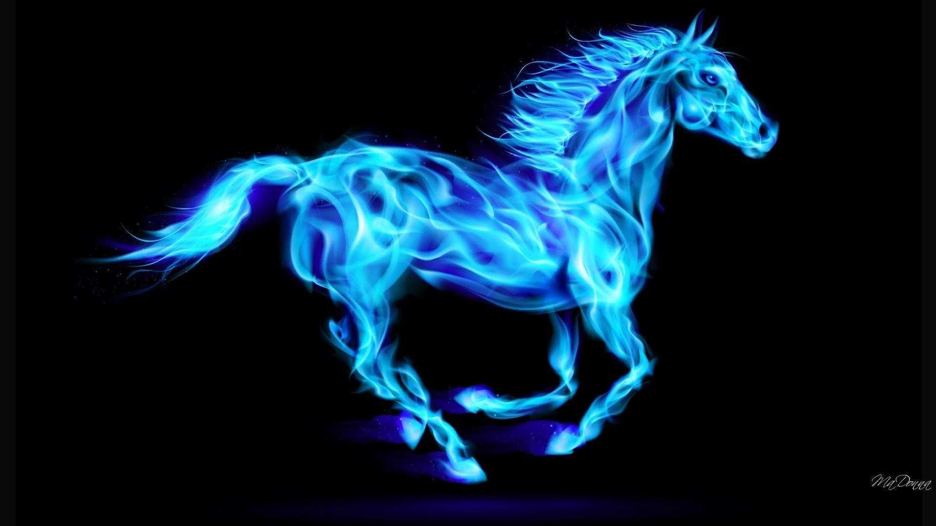 Neon Horse Wallpapers Top Free Neon Horse Backgrounds WallpaperAccess
