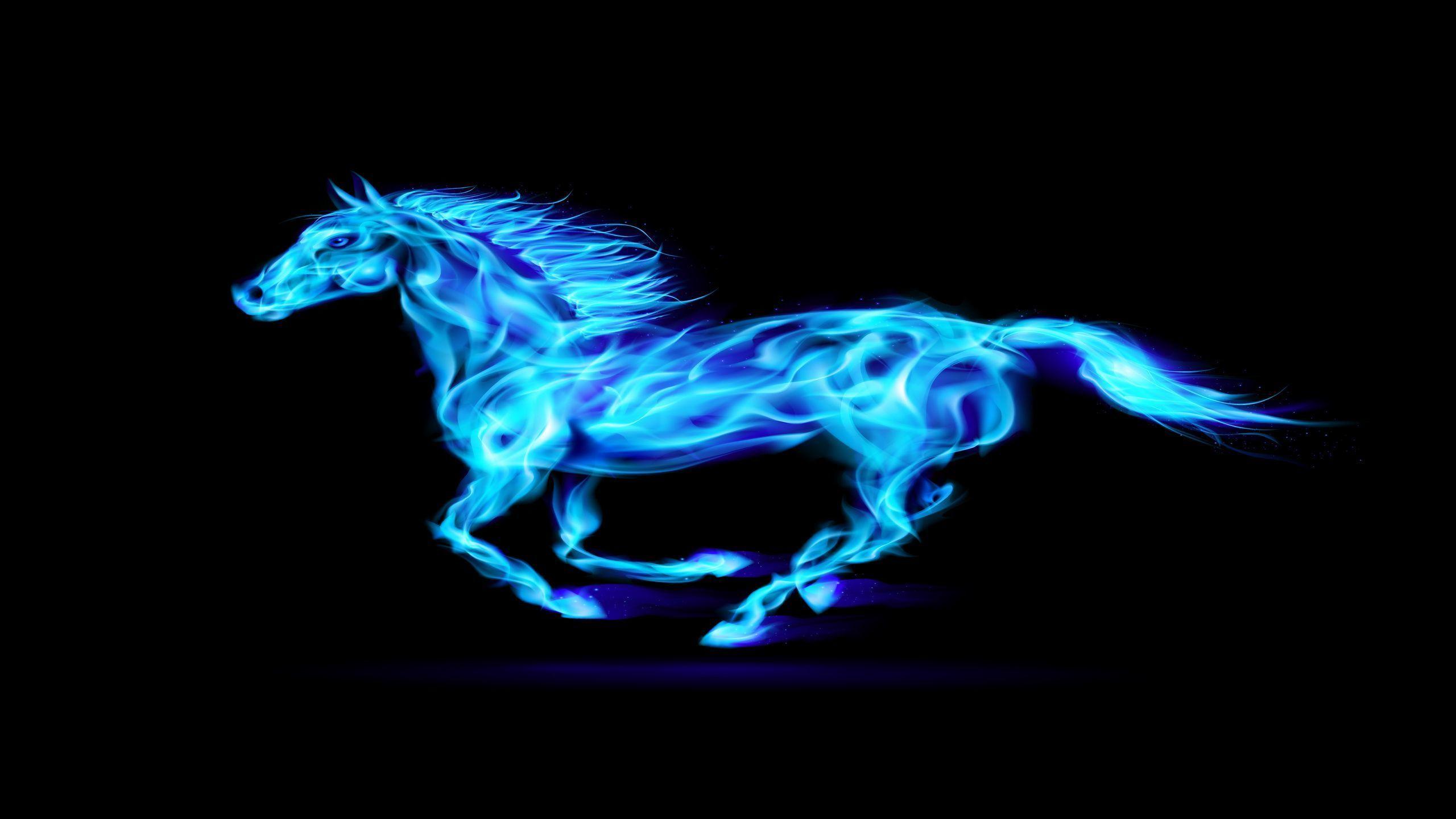 Neon Horses Wallpapers Top Free Neon Horses Backgrounds WallpaperAccess