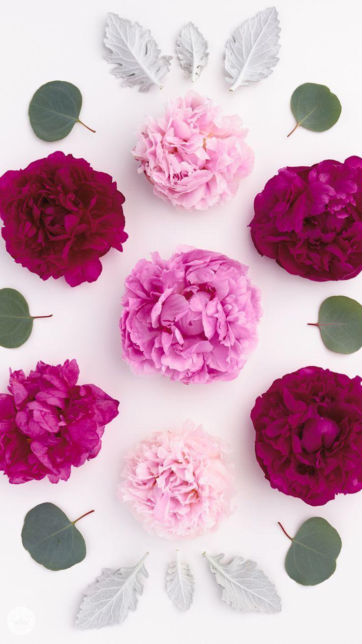 Cute Girly Flower Wallpapers Top Free Cute Girly Flower Backgrounds