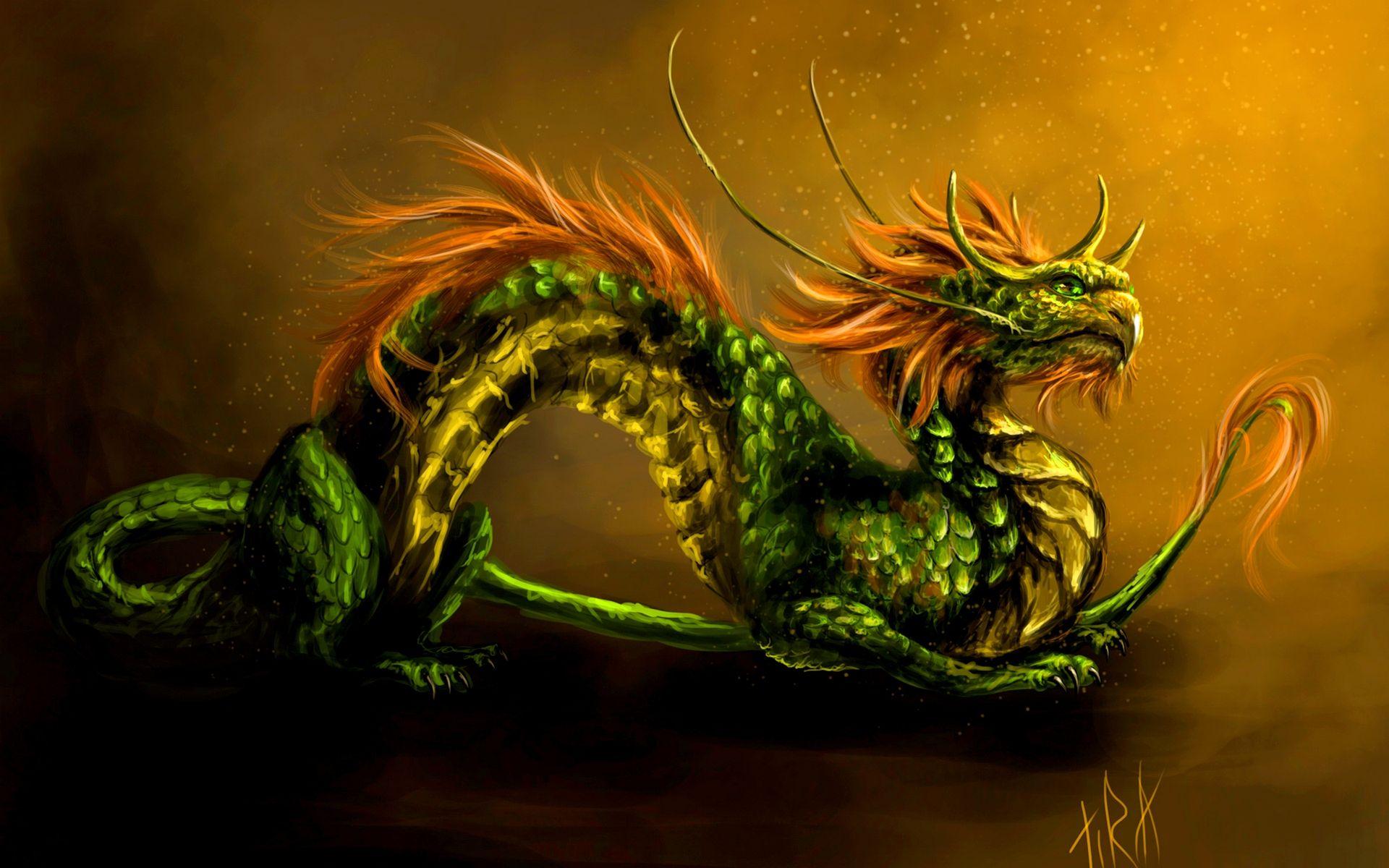 Green Chinese Dragon Wallpapers Top Free Green Chinese Dragon