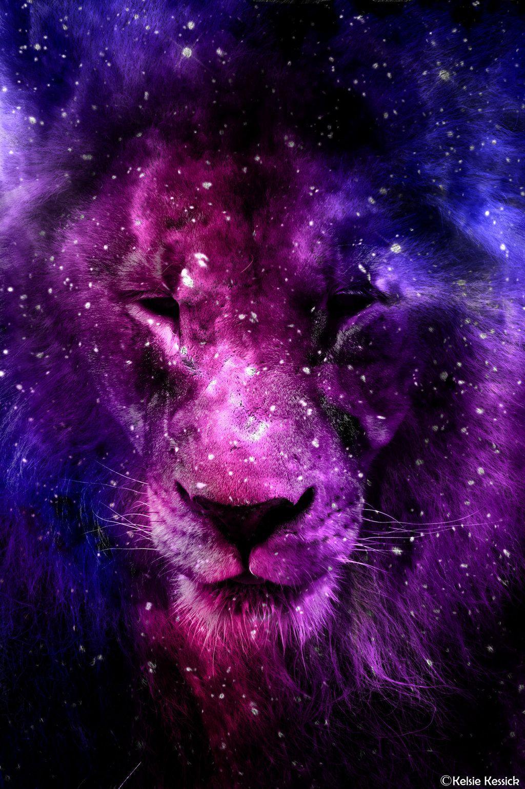 Cool Rainbow Lion Wallpapers Top Free Cool Rainbow Lion Backgrounds WallpaperAccess
