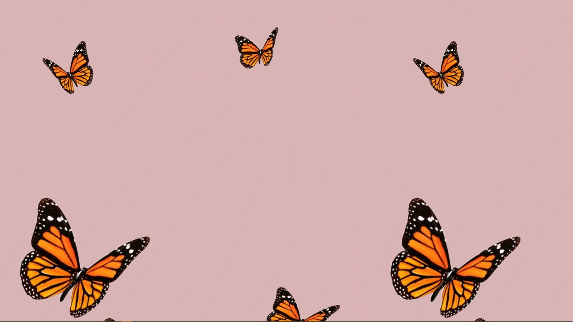 Cute Pink Butterfly Wallpapers Top Free Cute Pink Butterfly