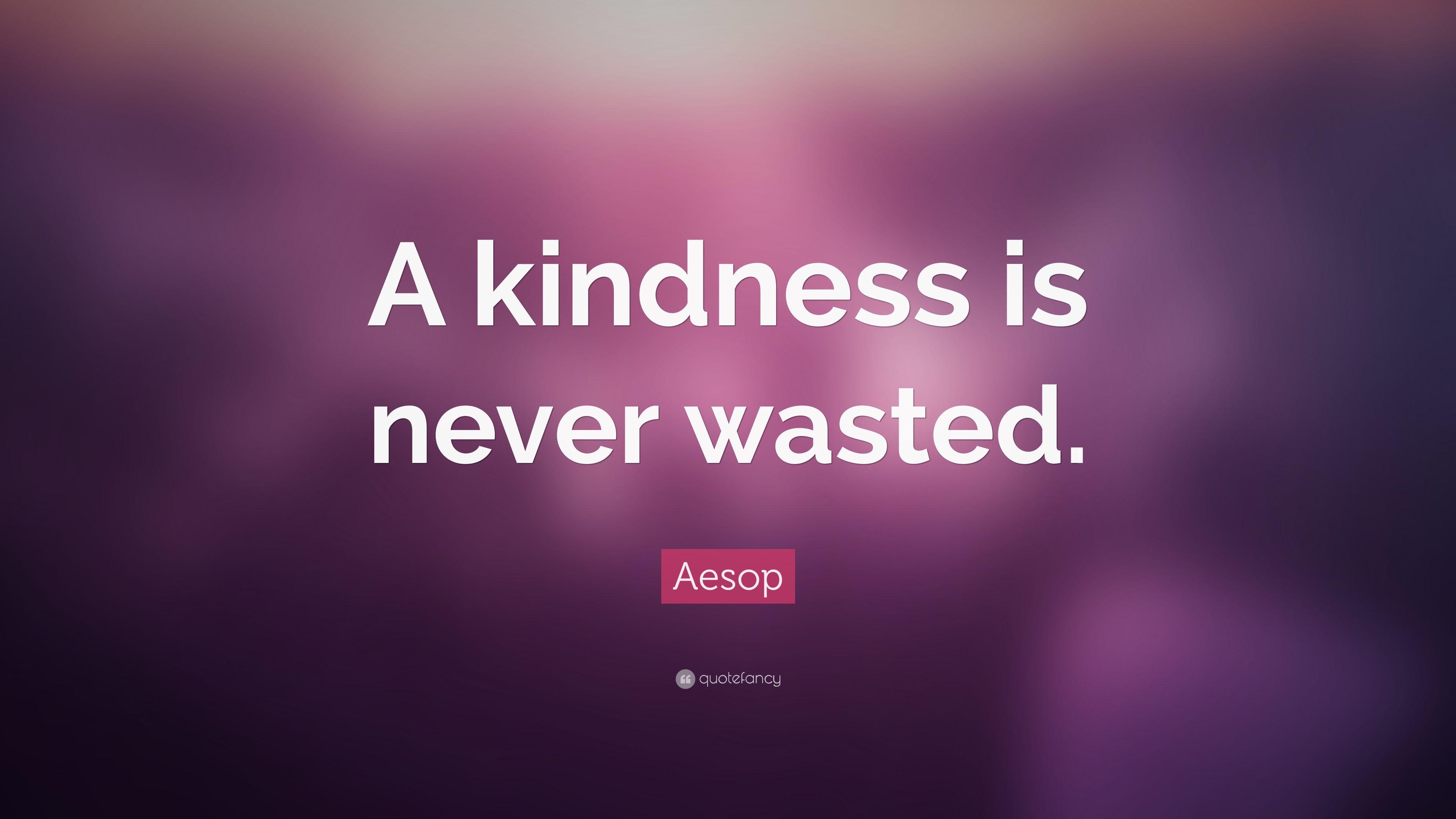 Kindness Quotes Wallpapers Top Free Kindness Quotes Backgrounds