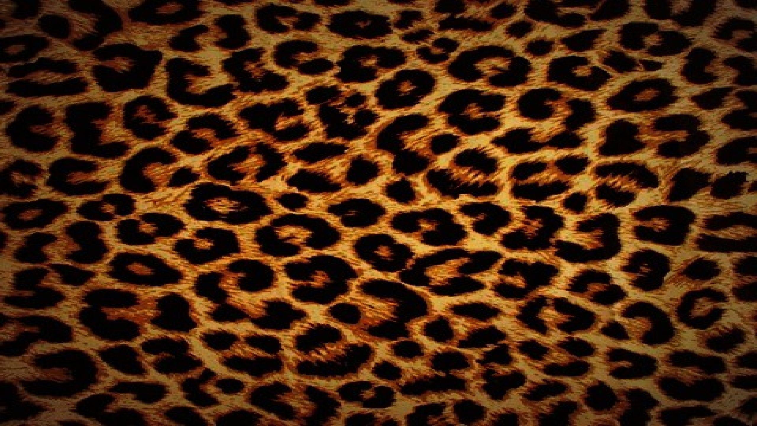 Cheetah Pattern Wallpapers Top Free Cheetah Pattern Backgrounds WallpaperAccess