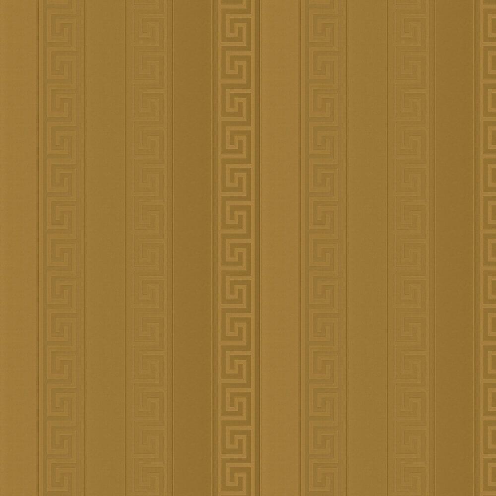 Gold Versace Wallpapers Top Free Gold Versace Backgrounds