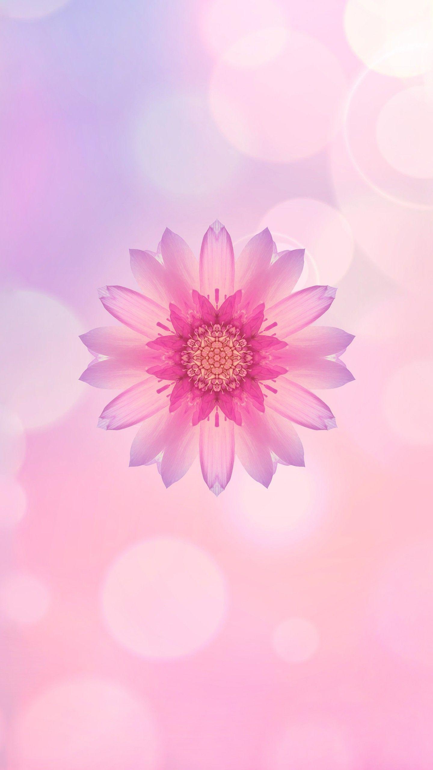 Huawei Flower Wallpapers Top Free Huawei Flower Backgrounds