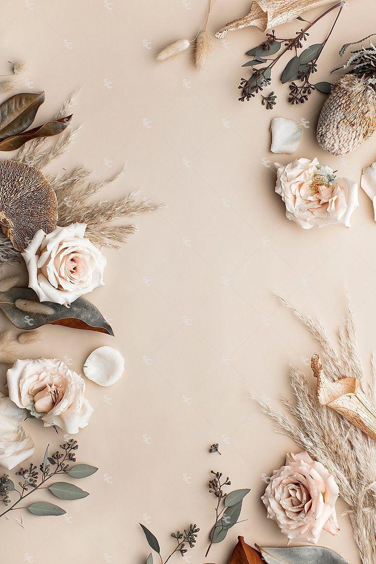 Beige Flower Wallpapers Top Free Beige Flower Backgrounds