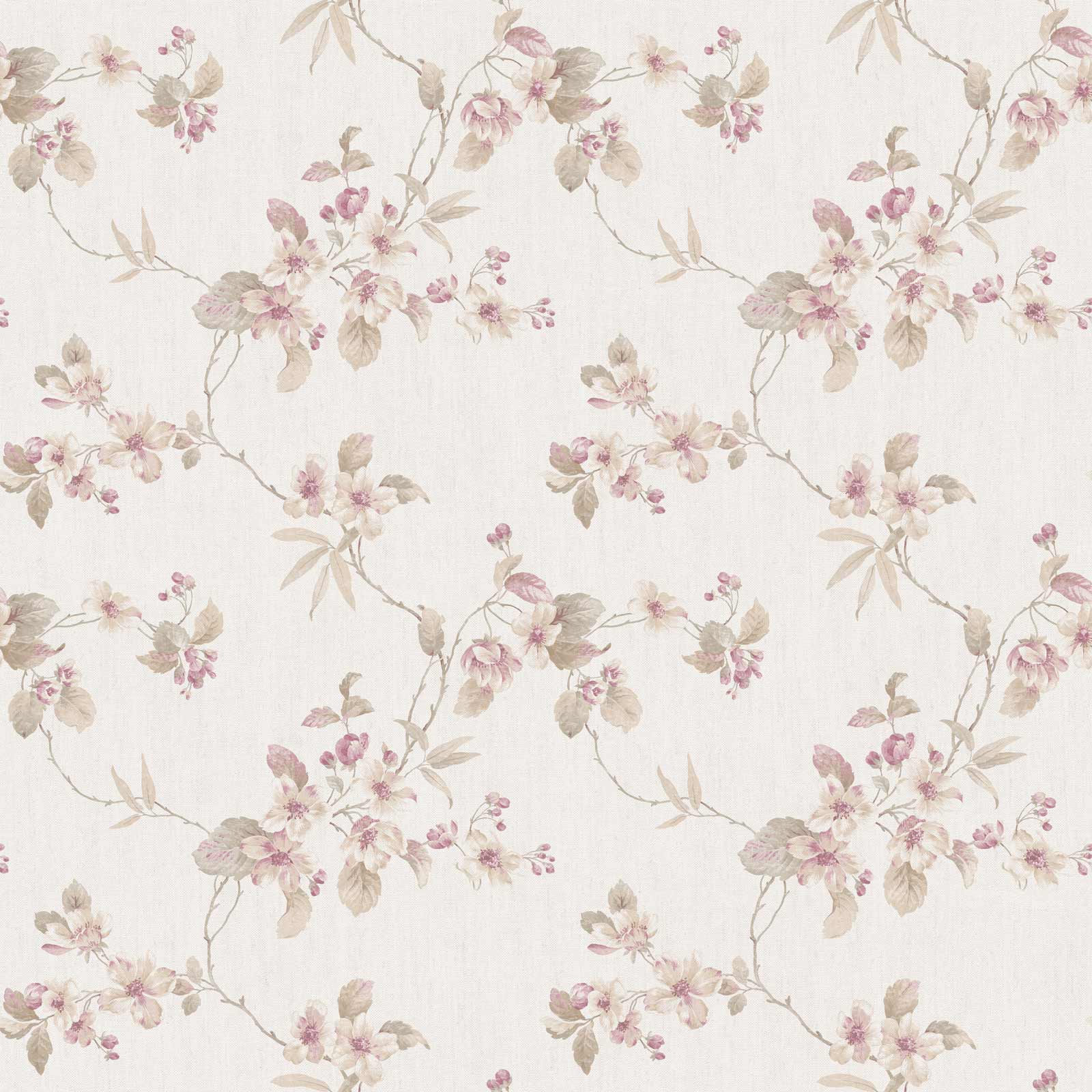 Beige Flower Wallpapers Top Free Beige Flower Backgrounds