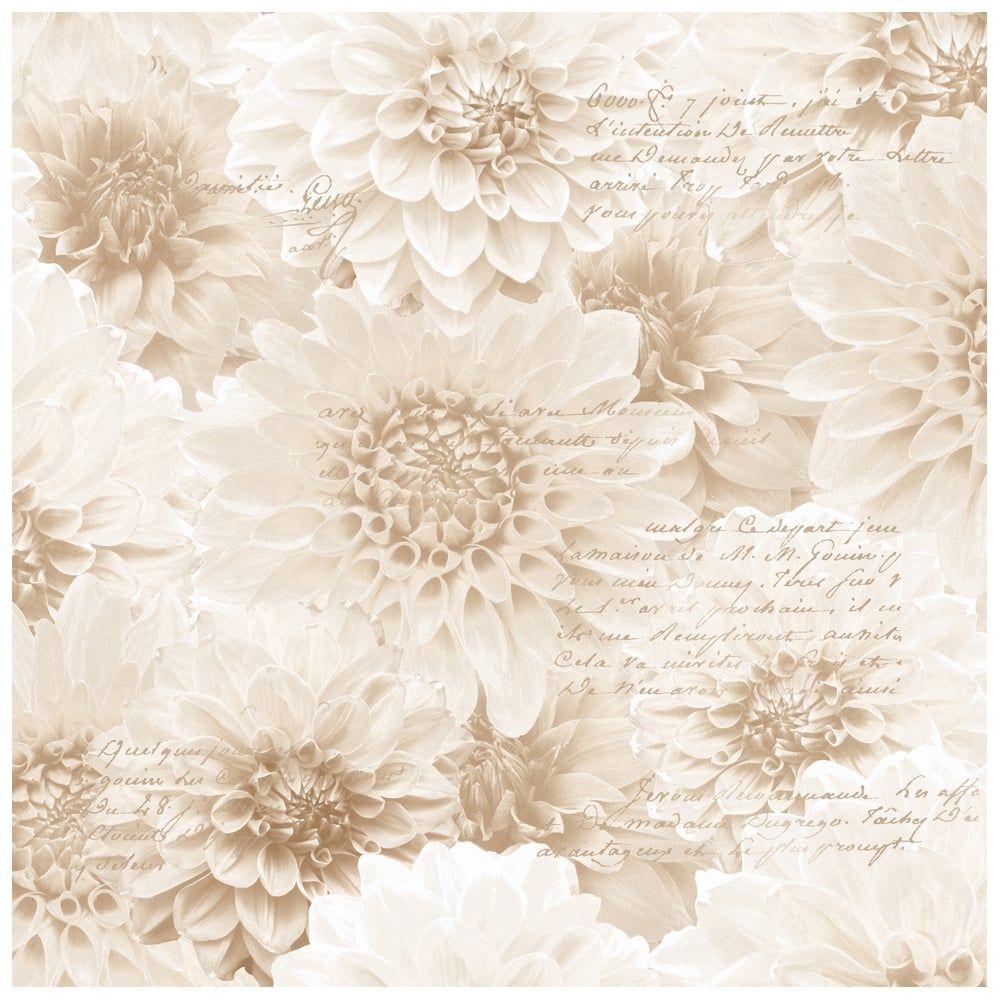 Beige Flower Wallpapers Top Free Beige Flower Backgrounds