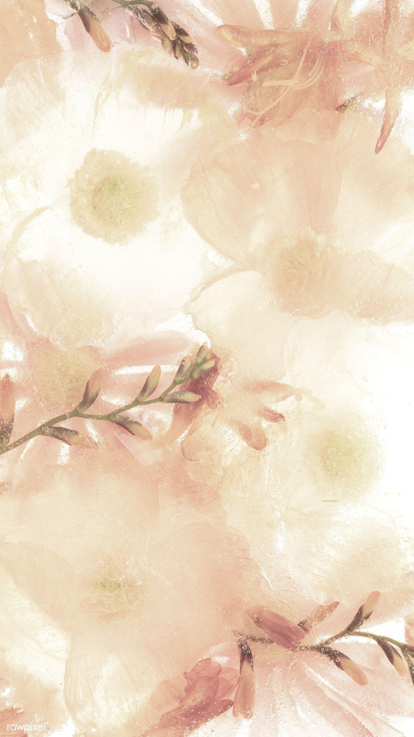 Beige Flower Wallpapers Top Free Beige Flower Backgrounds