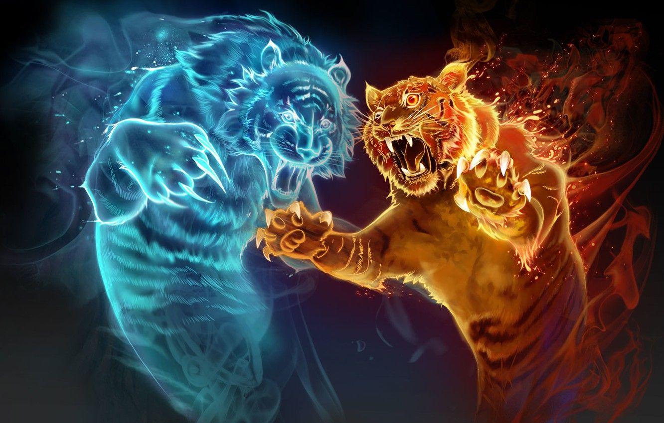 Flame Tiger Wallpapers Top Free Flame Tiger Backgrounds WallpaperAccess