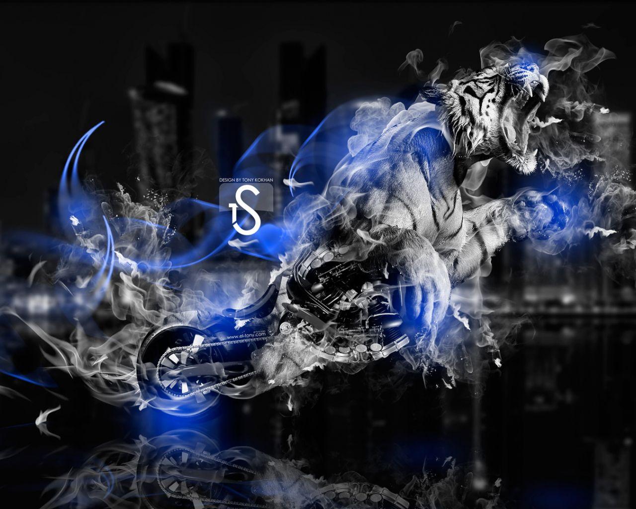 Blue Fire Tiger Wallpapers Top Free Blue Fire Tiger Backgrounds