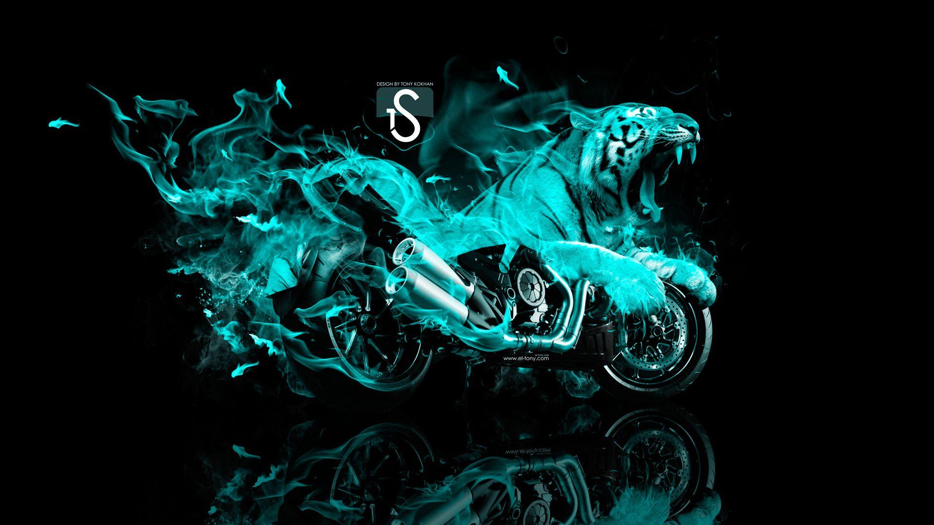 Blue Fire Tiger Wallpapers Top Free Blue Fire Tiger Backgrounds