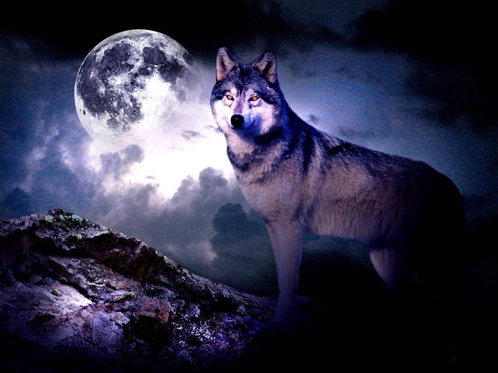 Epic Wolf Wallpapers Top Free Epic Wolf Backgrounds WallpaperAccess