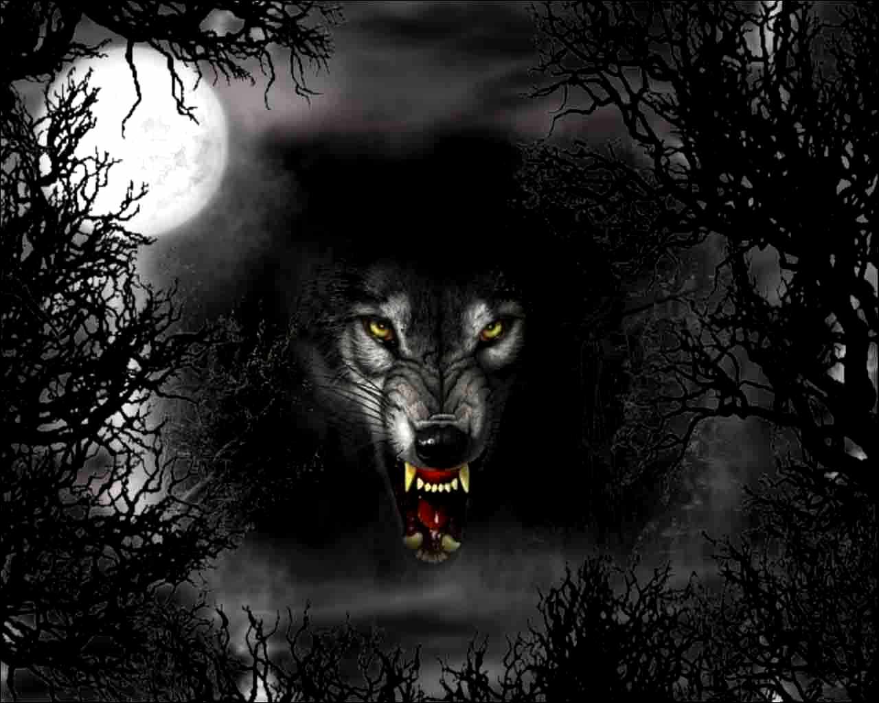 Epic Wolf Wallpapers Top Free Epic Wolf Backgrounds WallpaperAccess