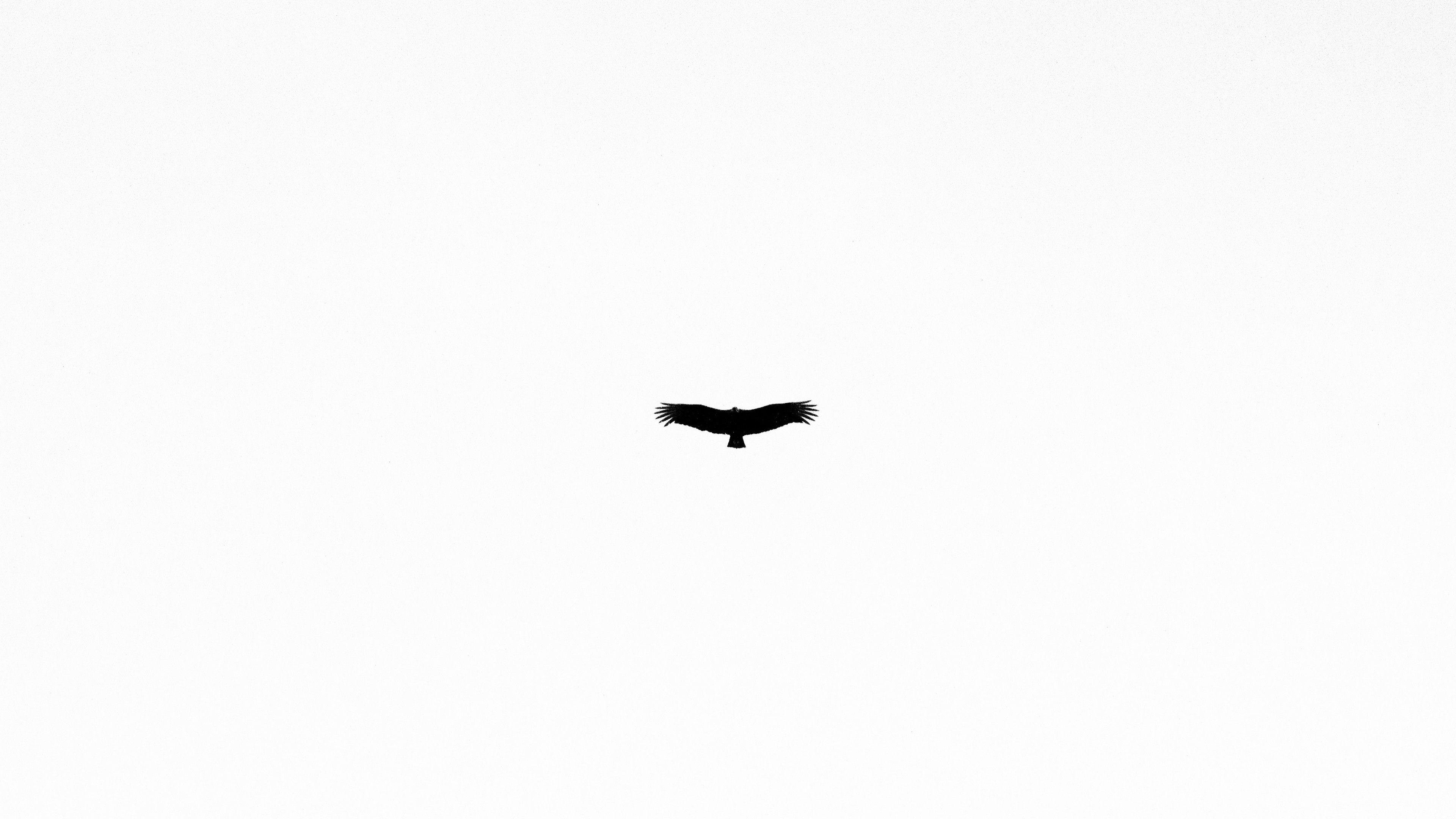 White Ultra HD Wallpapers Top Free White Ultra HD Backgrounds