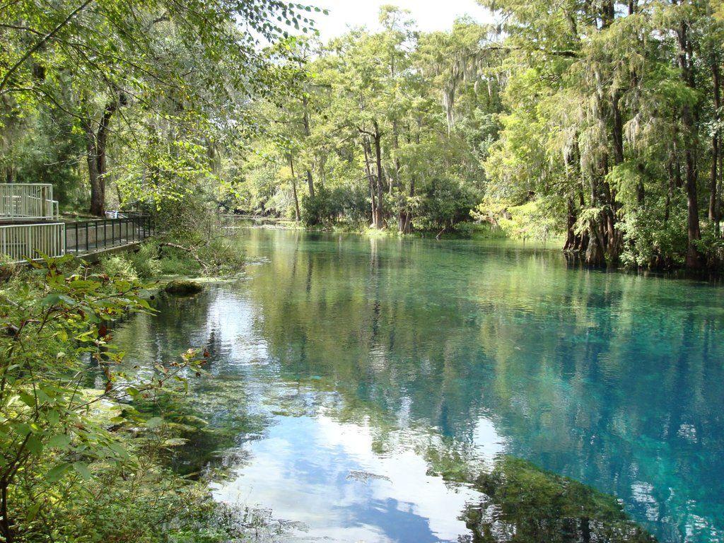 Florida Spring Wallpapers Top Free Florida Spring Backgrounds