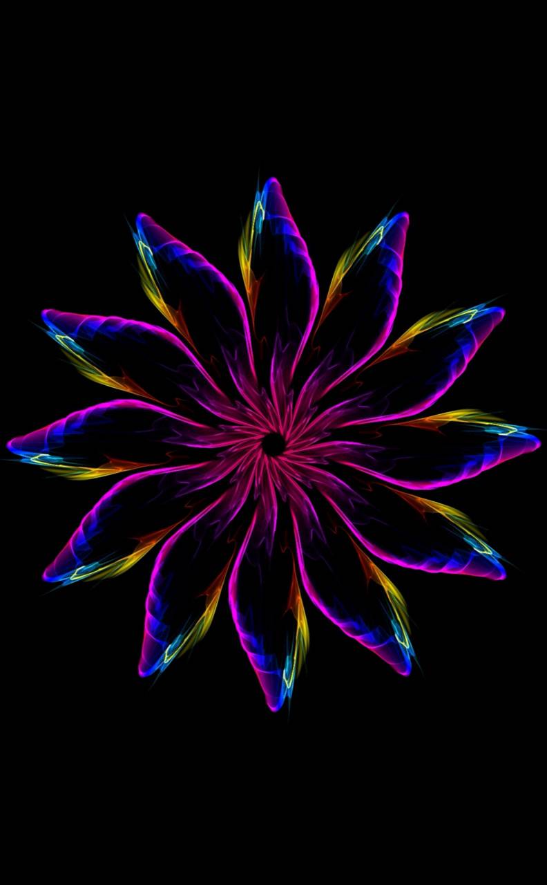 Neon Abstract Flower Wallpapers Top Free Neon Abstract Flower