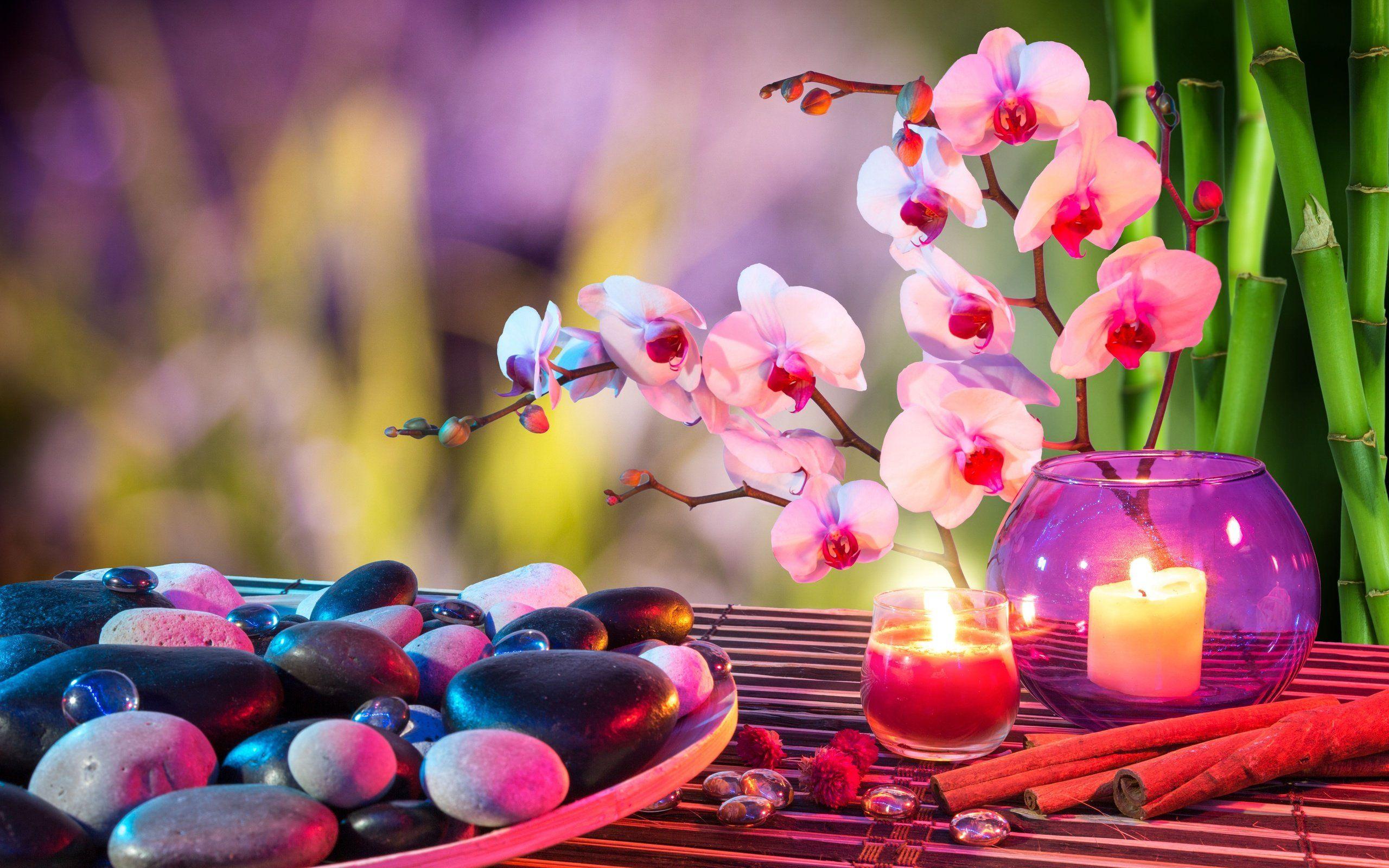 Orchid Zen Wallpapers Top Free Orchid Zen Backgrounds WallpaperAccess