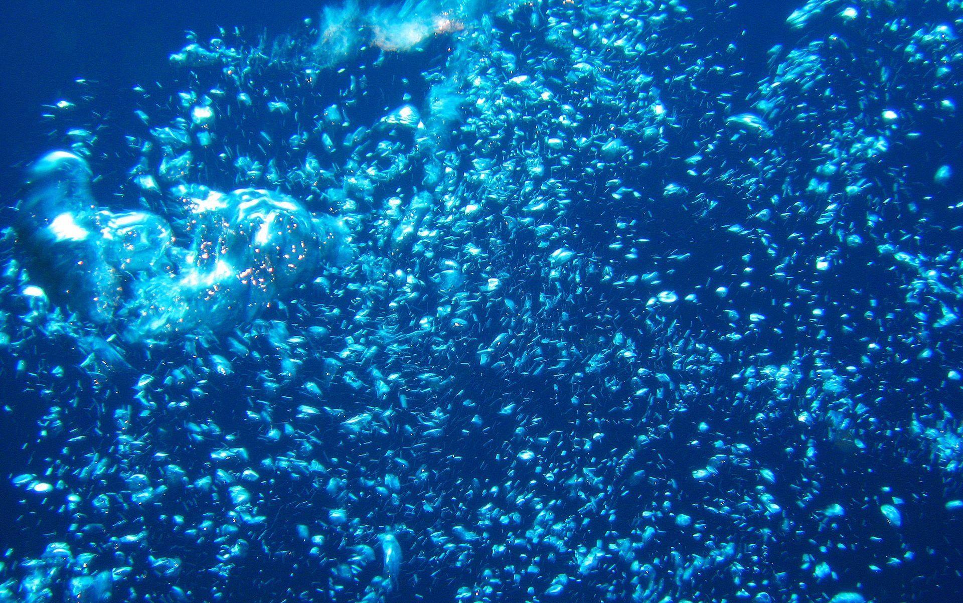 Ocean Bubbles Wallpapers Top Free Ocean Bubbles Backgrounds