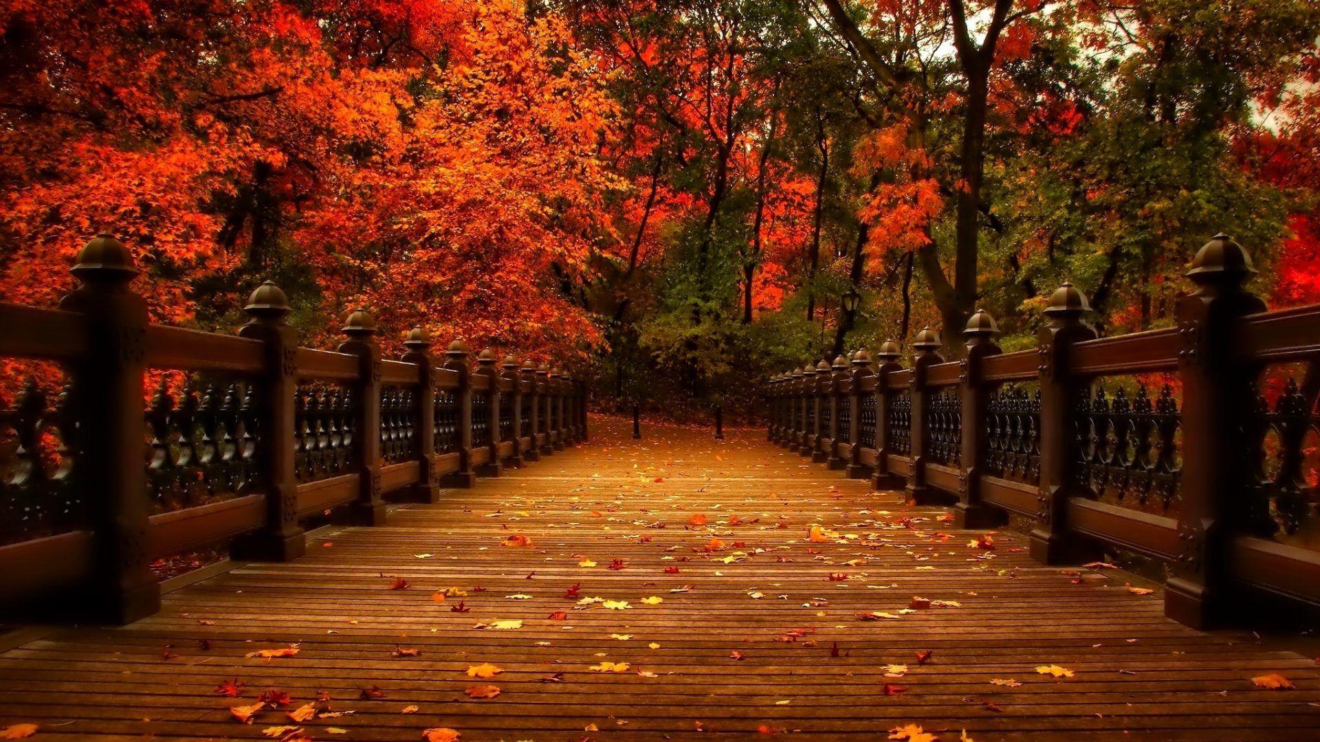 Korea Fall Wallpapers Top Free Korea Fall Backgrounds WallpaperAccess