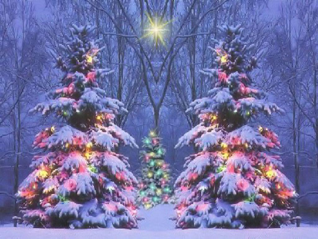 Christmas Snow Scenes Wallpapers Top Free Christmas Snow Scenes