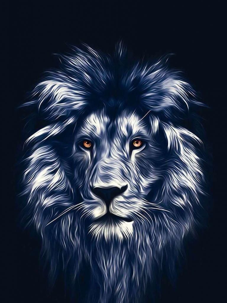 Wolf and Lion Wallpapers Top Free Wolf and Lion Backgrounds