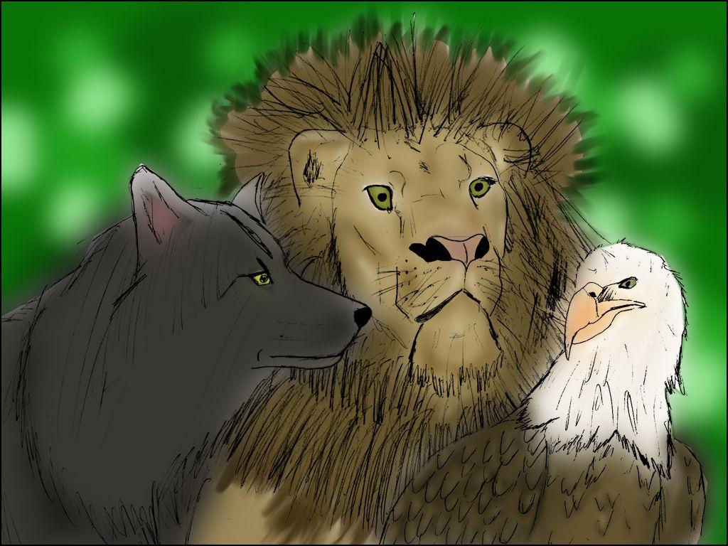 Wolf Vs Lion Wallpaper