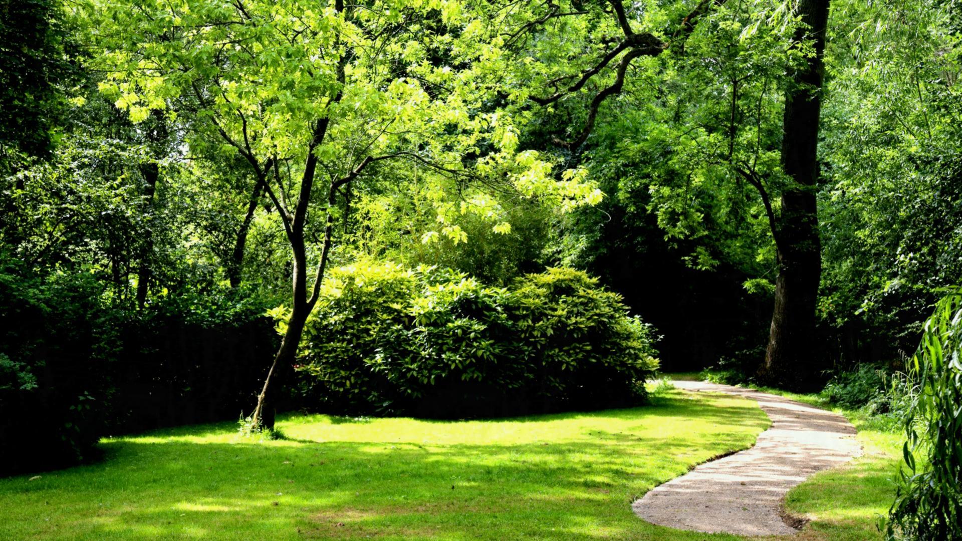 Landscaping Wallpapers Top Free Landscaping Backgrounds WallpaperAccess