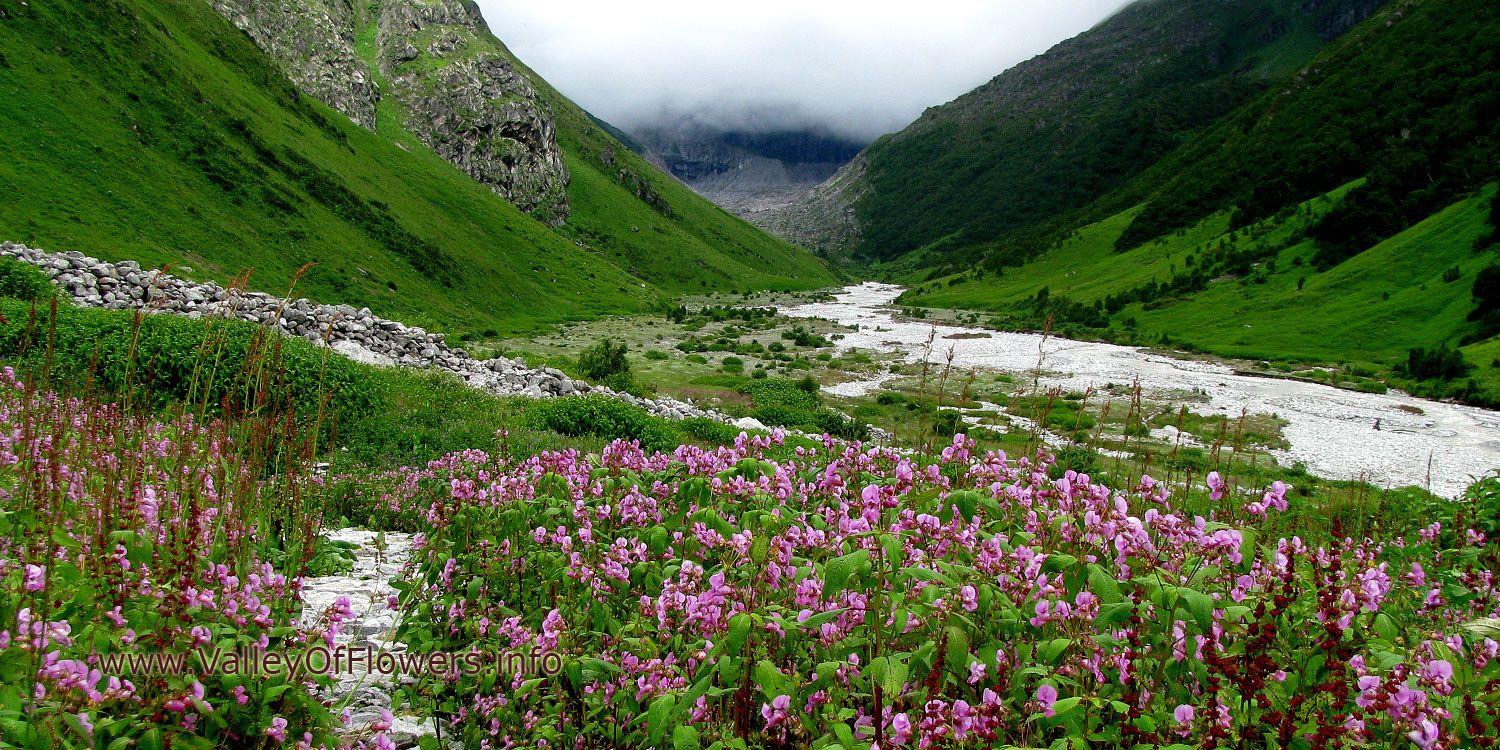Valley of Flowers Wallpapers Top Free Valley of Flowers Backgrounds