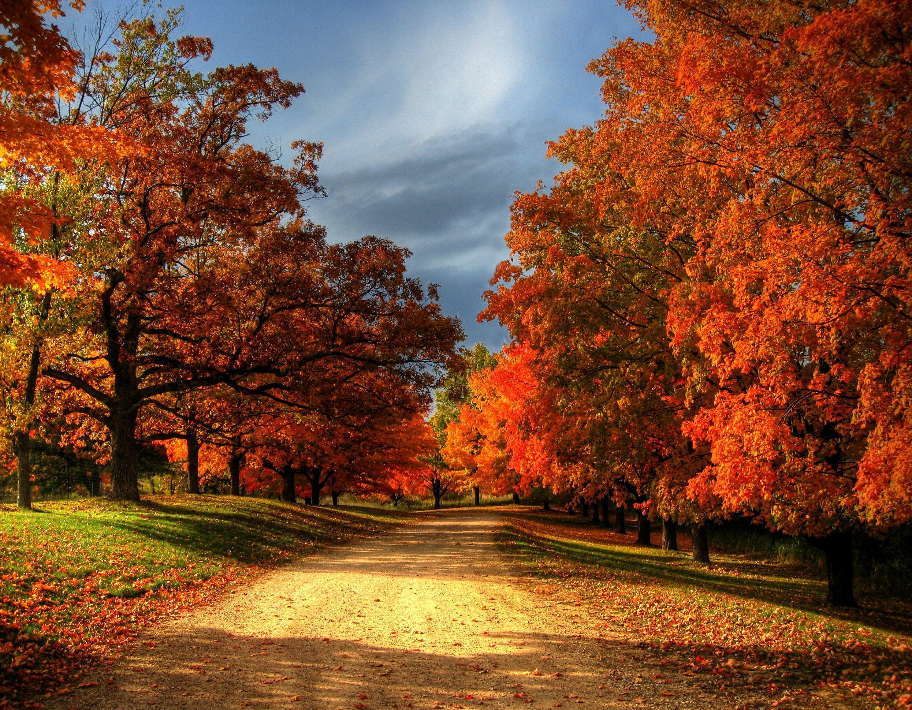 Minnesota Autumn Wallpapers Top Free Minnesota Autumn Backgrounds