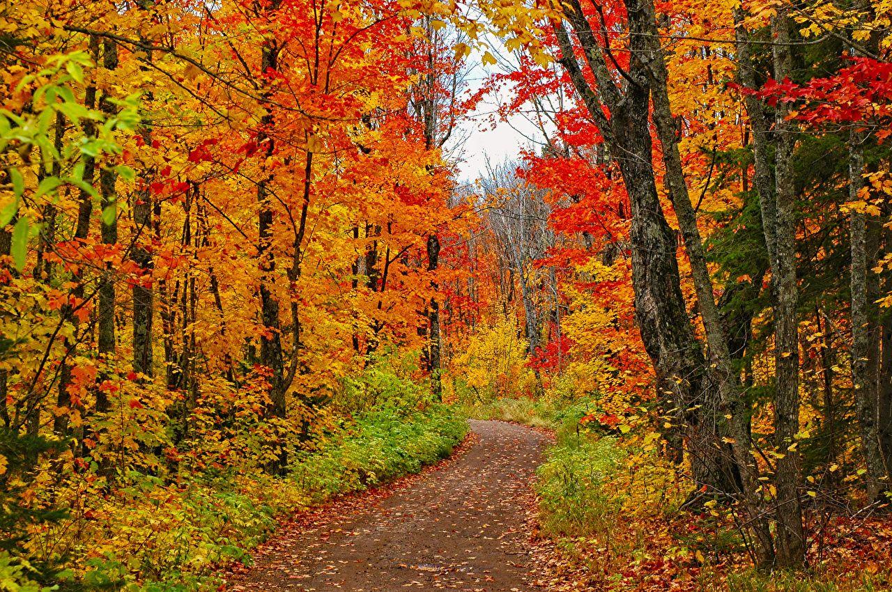 Minnesota Autumn Wallpapers Top Free Minnesota Autumn Backgrounds