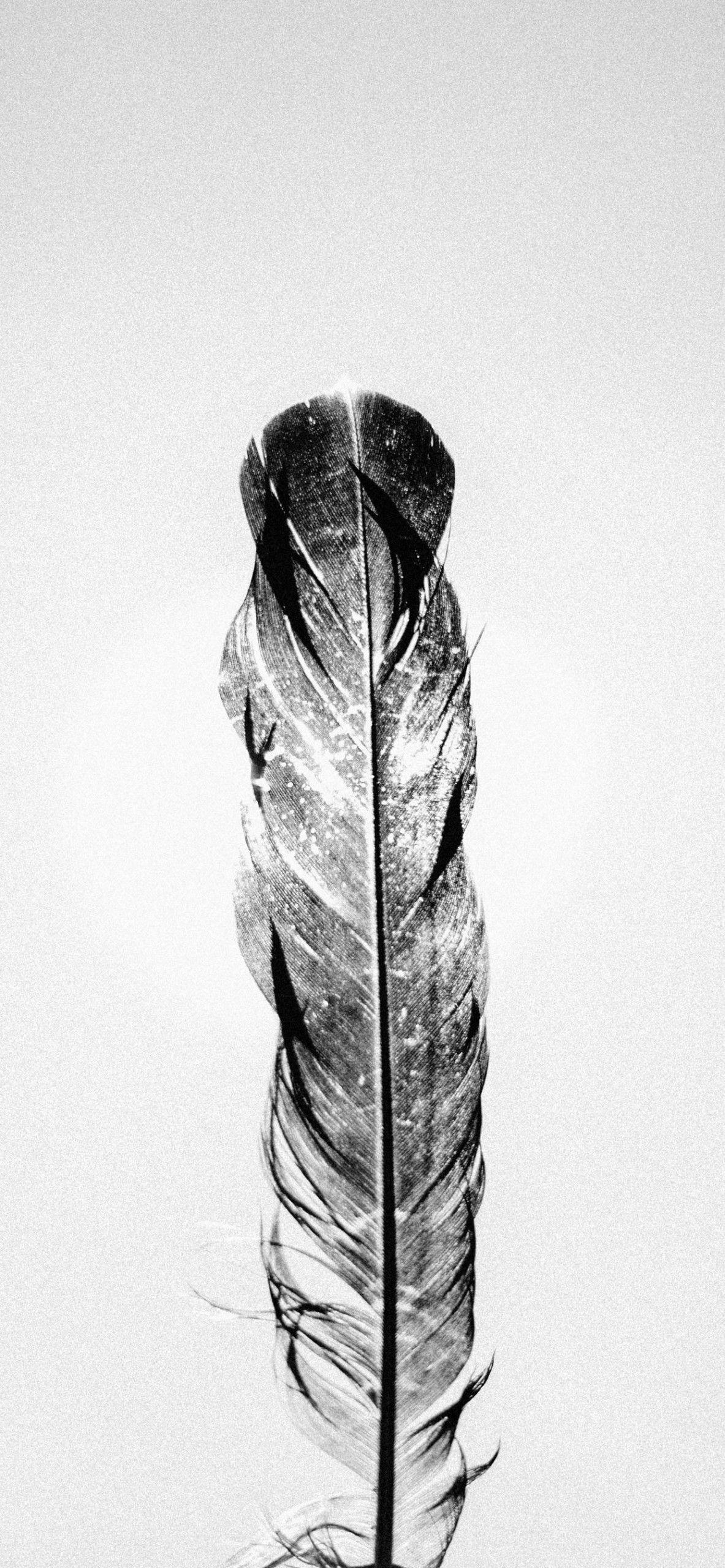 iPhone 11 White Wallpapers Top Free iPhone 11 White Backgrounds