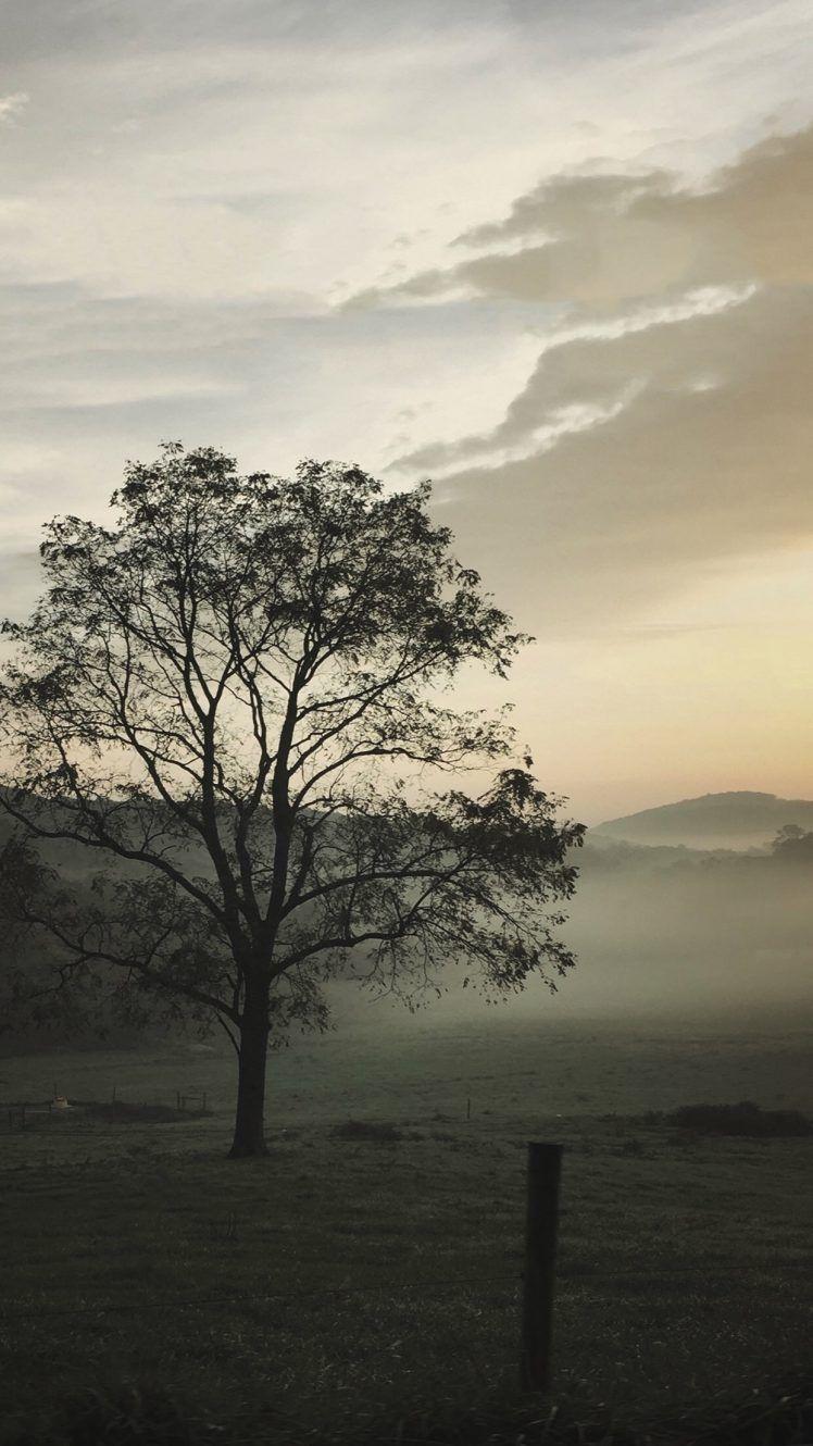 Vertical Landscape Wallpapers Top Free Vertical Landscape Backgrounds