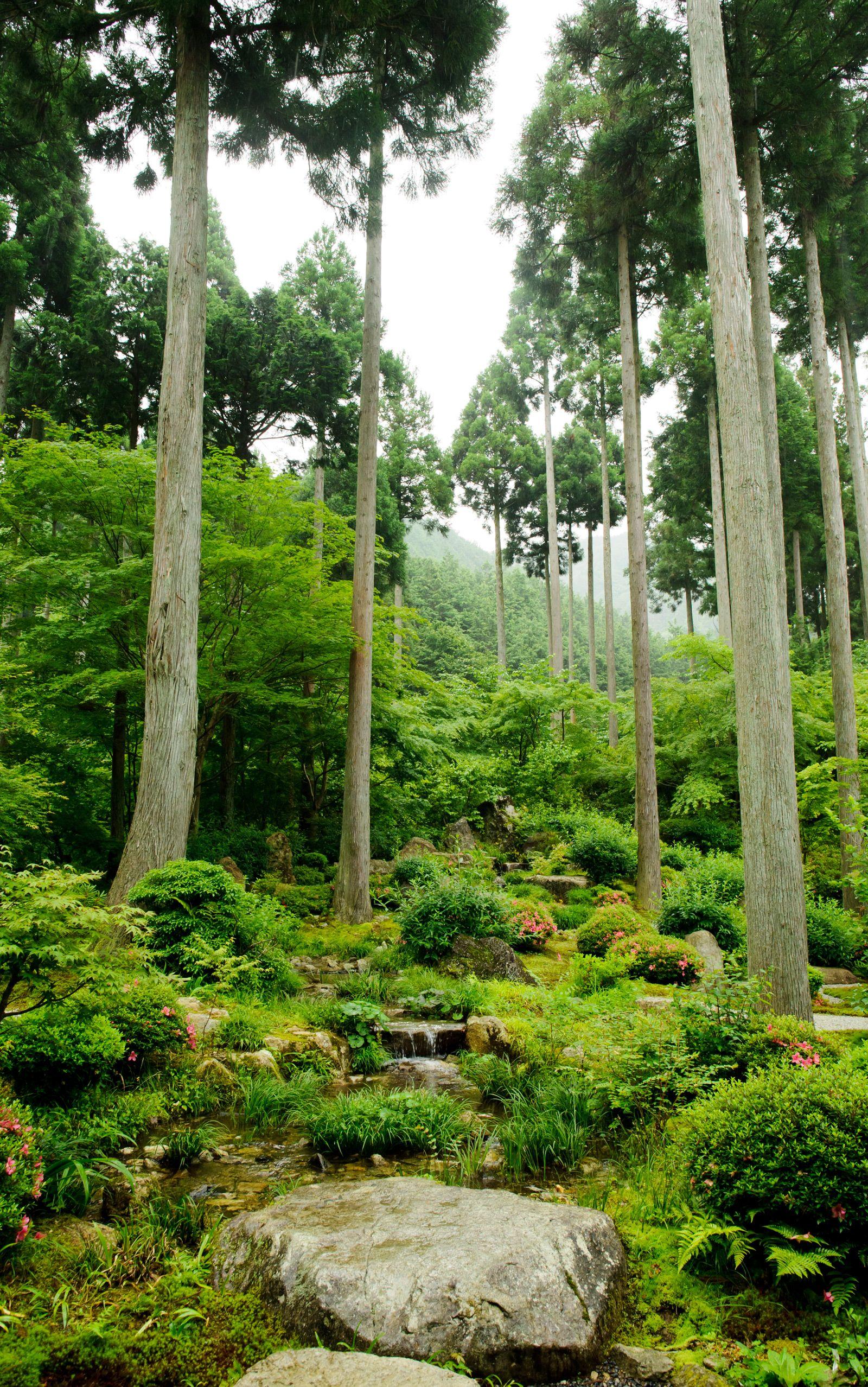 Vertical Landscape Wallpapers Top Free Vertical Landscape Backgrounds