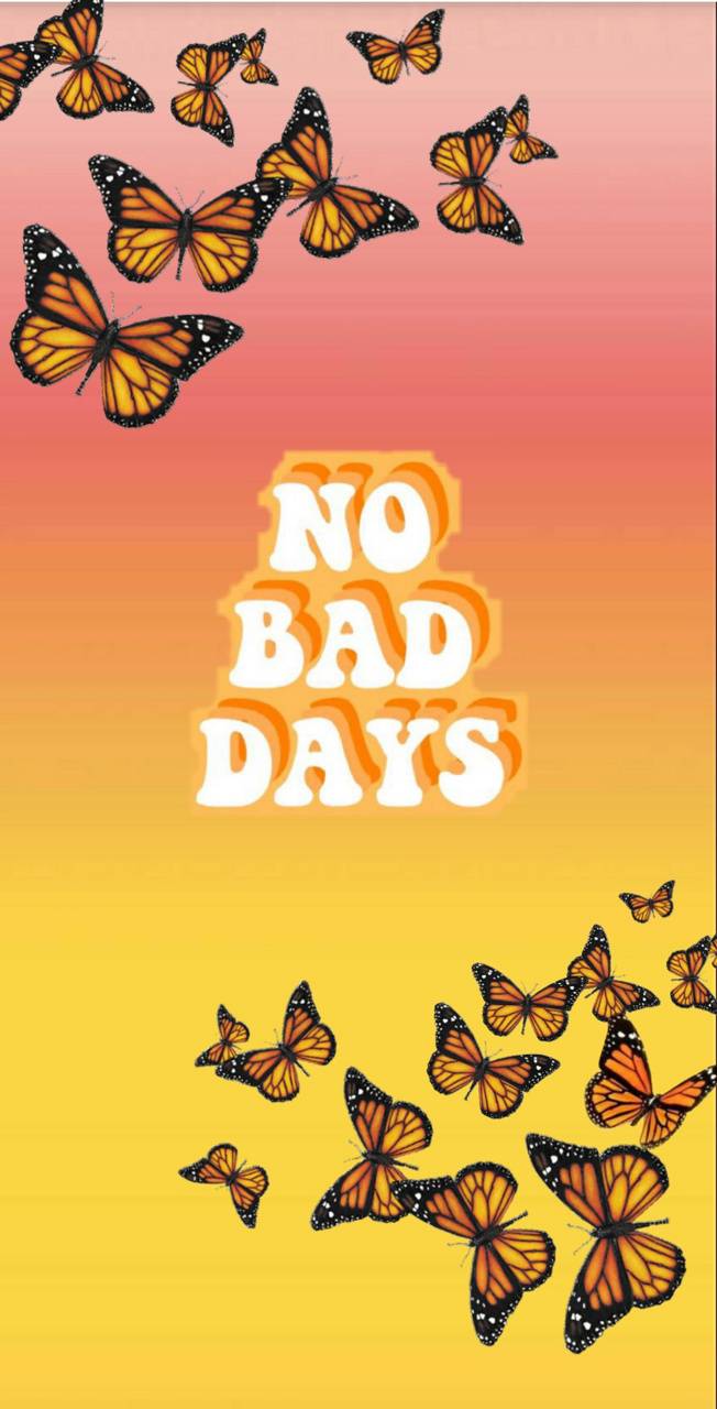 Aesthetic Orange Butterfly Wallpapers Top Free Aesthetic Orange Butterfly Backgrounds