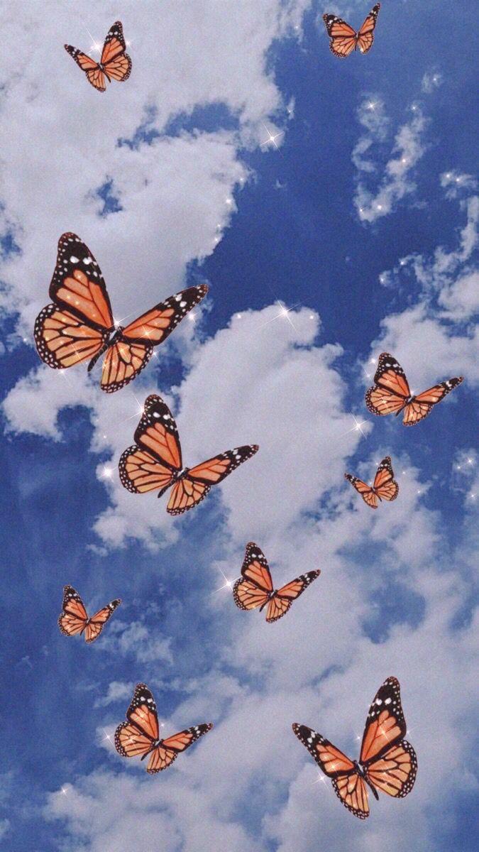 Aesthetic Orange Butterfly Wallpapers Top Free Aesthetic Orange