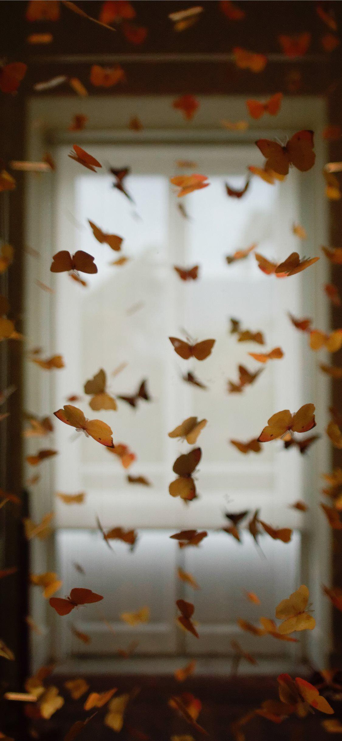 Aesthetic Orange Butterfly Wallpapers Top Free Aesthetic Orange
