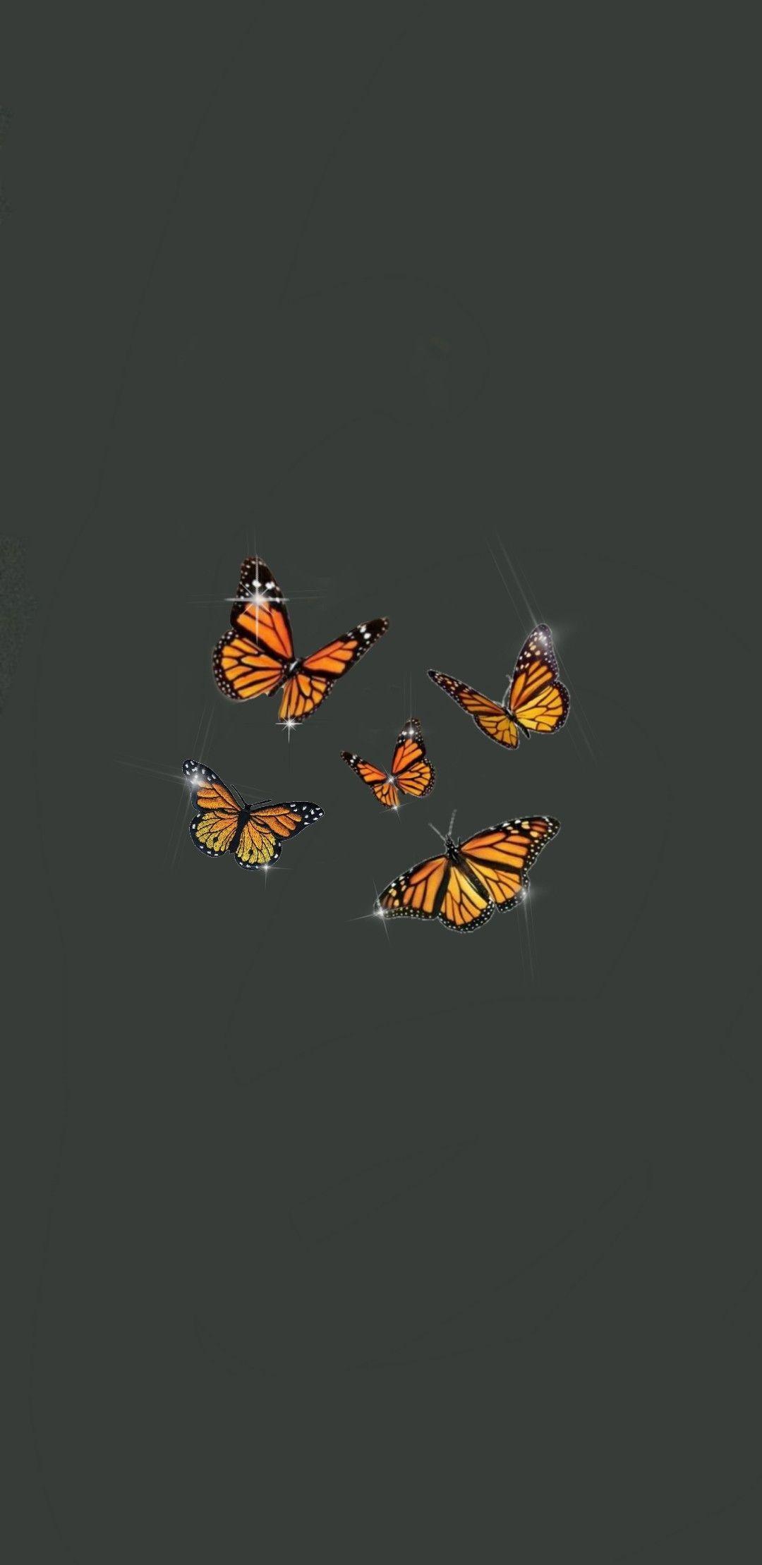 Aesthetic Orange Butterfly Wallpapers Top Free Aesthetic Orange
