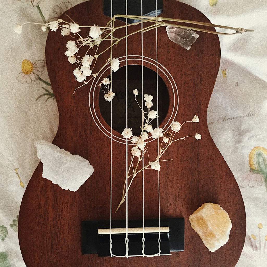 Ukulele Aesthetic Wallpapers Top Free Ukulele Aesthetic Backgrounds
