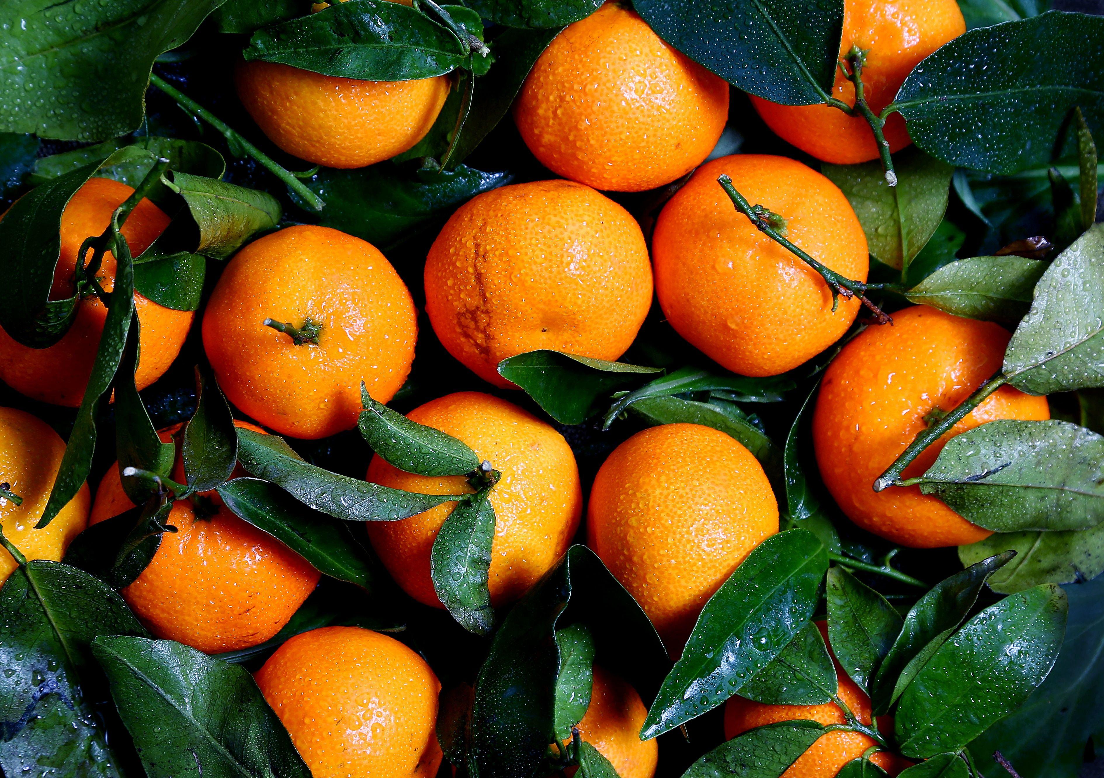 Tangerine Wallpapers Top Free Tangerine Backgrounds WallpaperAccess