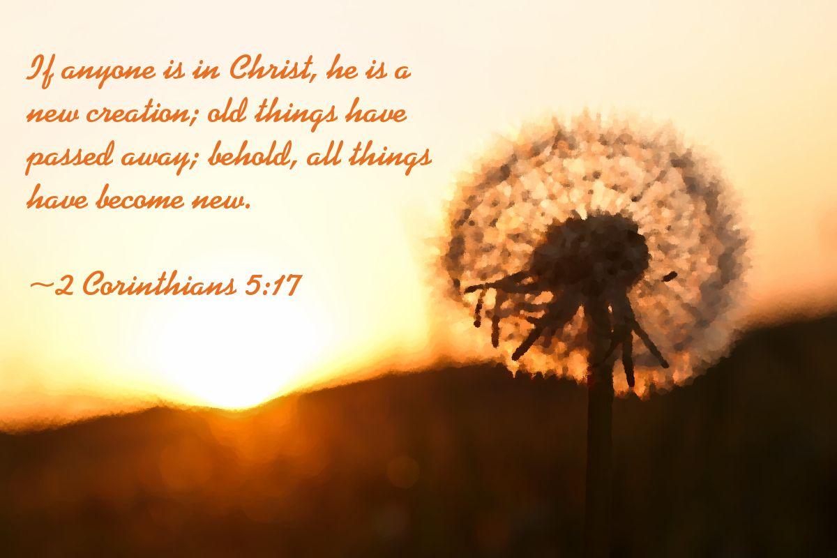 Spanish Words Wallpapers Top Free Spanish Words Backgrounds