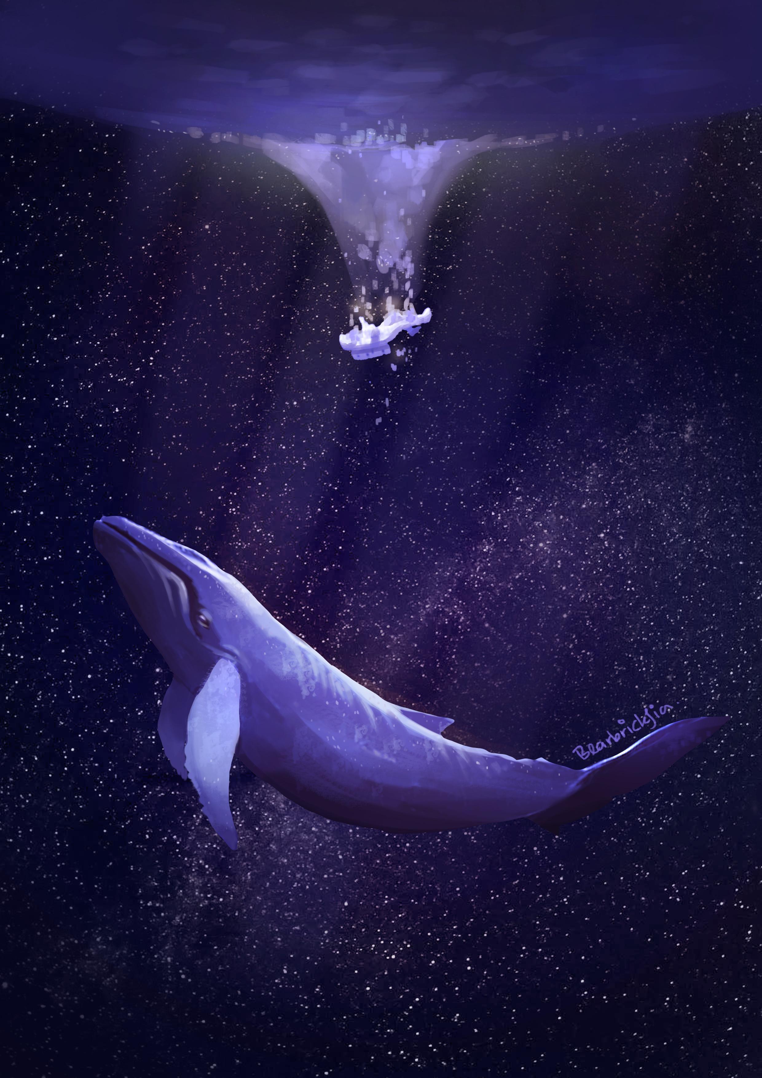Cute Purple Whale Wallpapers Top Free Cute Purple Whale Backgrounds