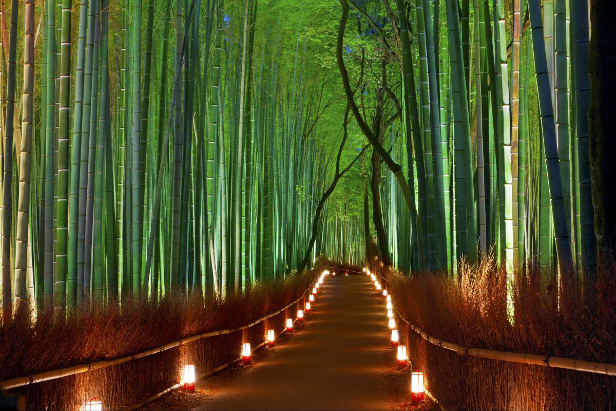Arashiyama Wallpapers Top Free Arashiyama Backgrounds WallpaperAccess