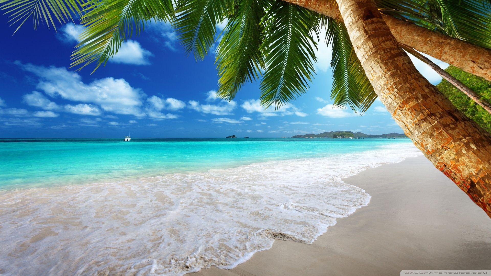 Paradise Wallpapers Top Free Paradise Backgrounds WallpaperAccess