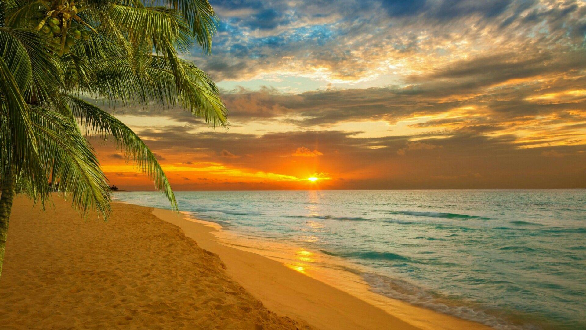 Paradise Wallpapers Top Free Paradise Backgrounds WallpaperAccess