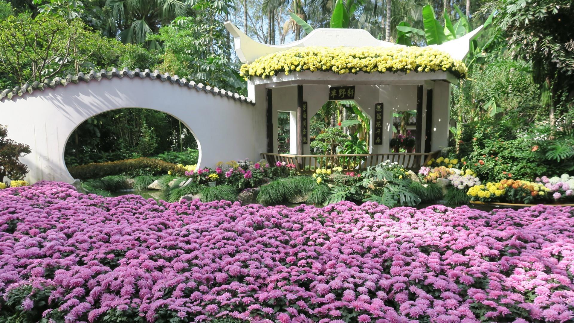 Chinese Garden Wallpapers Top Free Chinese Garden Backgrounds